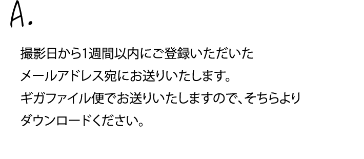 撮影日から1週間以内にご登録いただいたメールアドレス宛にお送りいたします。ギガファイル便でお送りいたしますので、そちらよりダウンロードください。